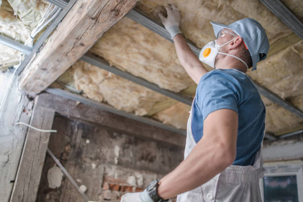 Best Eco-Friendly Insulation in Kutztown University, PA